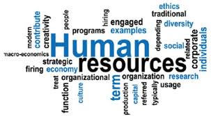 In A Startup Company Softwareforhumanresources Keeps A Check On The Day To Day Functioning Of The Human Resources Human Resource Management Business Education
