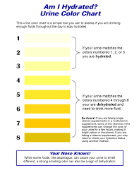 Dehydration Pee Color Chart Www Bedowntowndaytona Com