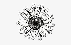 Please contact us if you want to publish an aesthetic. Background Black White Flower Cute Aesthetic Pen Daisy Drawing Png Image Transparent Png Free Download On Seekpng