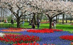 Visit The Keukenhof The Largest Flower Garden In The World Most Beautiful Gardens Tulip Fields Tulips Garden