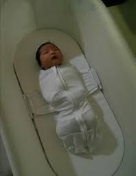 Happiest Baby Snoo Customer Service Free Delivery Goabroad Org Pk