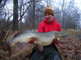 Jul 28, 2021 · foto: 12 Snabba Fragor Till Rickard Linderot Swedish Anglers