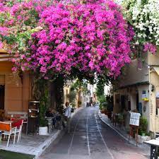 Check spelling or type a new query. Instagram Spots In Athens Anne Travel Foodie