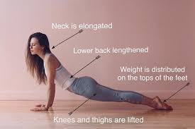 Urdhva Mukha Svanasana Or Upward Facing Dog Pose Urdhva Mukha Face Upward Svana Dog Bene Upward Facing Dog Pose Body Posture Lower Back Ache