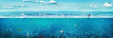 Microplastic In Atlantic Ocean Lab Near Bermuda Triangle