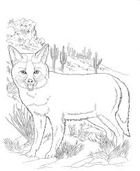 Fox Coloring Pages Images Desert Animals Coloring Fox Coloring Page Animal Coloring Pages