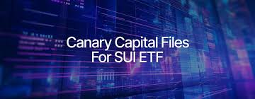 카나리 캐피탈, 미국 SEC에 최초 '수이' ETF 등록 서류 제출