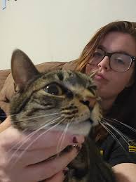 Cat found in London, Kentucky needs a home