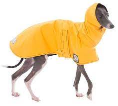 Italian Greyhound Rain Coat Dog Coat Rain Slicker Dog Raincoat Waterproof Coat For Dogs Rain Jacket Dog Clothing Dog Clothes Pet In 2021 Dog Coats Dog Raincoat Dog Clothes