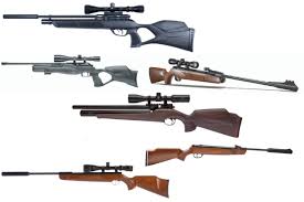 Air Rifles Under 500 Six Of The The Best Chosen By Shooting Times