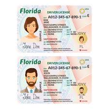 The florida driver license and id card display small numbers next to each data field (i.e. Template Of Driver Card Florida Affiliate Card Plastic Usa Zip Ad Id Card Template Drivers License Driver Card