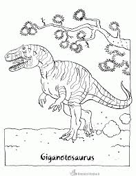 1024 x 731 gif pixel. Kleurplaten Dinosaurus Kleurplaten Kleurplaat Nl