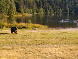 Cazare lacul sfânta ana ieftină de la 0 lei/pers. Lacul Sfanta Ana Din Harghita Planiada