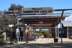 Werribee Open Range Zoo Werribee Park Melbourne Victoria Werribee Open Range Zoo Is An African Themed Zoo Melbourne Zoo Holiday Experience Australia Living