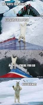 Pin By Jacquelyn Lynne On Memes And Gifs Funny Bear Pictures Funny Bears Funny Animal Memes