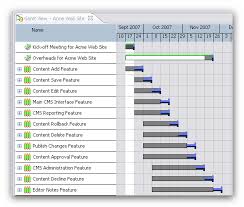 projects gantt chart