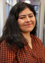 UNC-Chapel Hill chancellor faces UNC Board of Governors questions over  tuition plan • NC Newsline