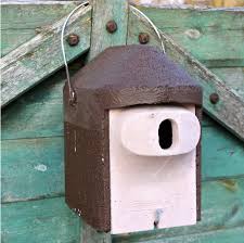 Schwegler Nisthohle 2gr Oval Mit Katzen Und Marderschutz Vogelhaus Vogel Und Naturschutzprodukte Einfach Online Kaufen