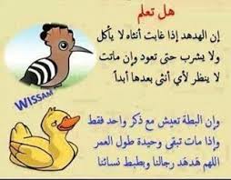 أبيات شعر عن الكرم ( 3 ). Pin On Ø·ÙŠÙˆØ± Ù…Ù„ÙˆÙ†Ø© Ø¬Ù…ÙŠÙ„Ø© Ù…ØªØ­Ø±ÙƒØ©
