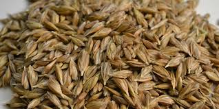 L'orzo perlato è, tra tutti i cereali, il più facile da cucinare: Il Farricello Storia E Origini Di Una Tradizione Caligola