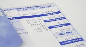 The salary slips have essential importance for every employee as well as for the a payslip will not consider complete if the above mention features are not include in it. 9 Payslip Templates And Examples Pdf Doc Examples