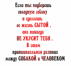 чем больше я узнаю людей тем больше я люблю собак Https Encrypted Tbn0 Gstatic Com Images Q Tbn 3aand9gcr G9pxnz1h1 B Hku8dwbi5nygpgv8cauc0a Usqp Cau