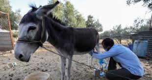 4,137 likes · 87 talking about this. Ø¯Ø¹Ù… Ø¹Ù†ÙŠØ¯ Ø£ÙˆØ§ÙÙ‚ Ø¹Ù„Ù‰ Ø²ÙˆØ§Ø¬ Ø§Ù„Ù†Ø³Ø§Ø¡ Ù…Ù† Ø§Ù„Ø­Ù…ÙŠØ± Idearoomer Com