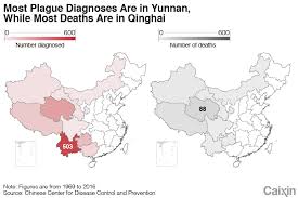 Beijing Plague Patients Were Medical Transfers Further
