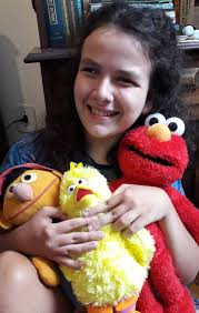 Check out show posters featuring the characters of Sesame Street the  Musical!