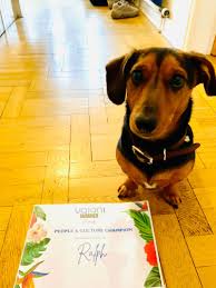 dreamteam #thedreamteam