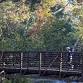 The Cedar Grove Scamper - Presented by Chico Running Club (4 Miles)