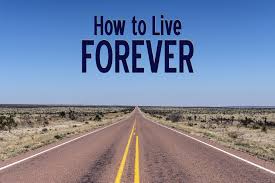 How to live forever by alosi den, released 16 june 2015 1. Eternal Life How To Live Forever Your Job As Legacy