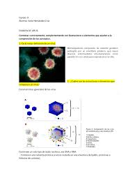 Los brotes se producen principalmente por transmisión de persona a persona a través del contacto con líquidos corporales infectados, órganos de personas infectadas o cadáveres. Virus Caracteristicas Y Tipos Docsity