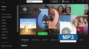 Best Spotify To Mp3 Converter 2020 Top 5