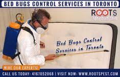 Titles of books and reports are italicized; Roots Pest Rootspest Profile Pinterest