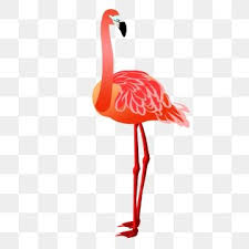 Flamingo Red Dragonfly Animal Birds Short And Thick Mouth Neck Length Short Tail Png Transparent Clipart Image And Psd File For Free Download Flamingo Illustration Flamingo Clip Art