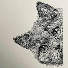 Ada beberapa pemandangan indah terindah dan terunik yang tersebar didunia. Kondisi Geografis Pulau Bali Dan Nusa Tenggara Berdasarkan Peta Brainly Co Id