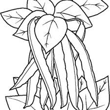 Choose your favorite coloring page and color it in bright colors. A Stalk Of Green Bean Vegetables Coloring Page Kids Play Color