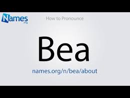 Find out how surnames are ranked in popularity, how many people in the united states of america bear a particular name, and how the statistics change between 1990 and 2000 us censuses. What Does The Name Bea Mean