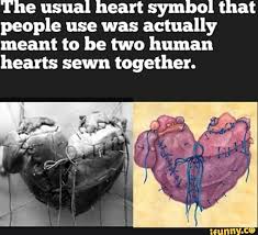 We watch jorge and leslie fall in love (he's in the rum business, she's an airline stewardess) and we see chris and sam fall for one. The Usual Heart Symbol That People Use Was Actually Meant To Be Two Human Hearts Sewn Together Ifunny
