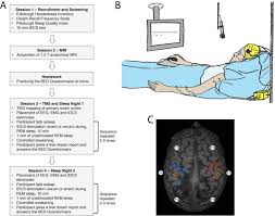 The bed she finds is nice and small. Modulating Dream Experience Noninvasive Brain Stimulation Over The Sensorimotor Cortex Reduces Dream Movement Scientific Reports