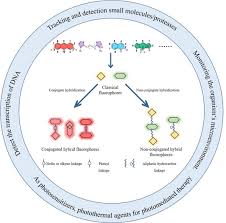 Image result for Pimpinella sp. A. of FZ 4: 594