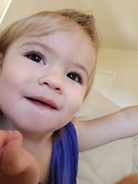 Laura Toth Creative (@lauratothcreative) • Instagram photos and videos