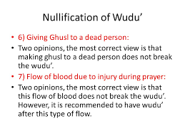 The food that camels eat depend on whether they are domesticated, feral or living in zoos. Fiqh Of Tahara 6 Taught By Hacene Chebbani Nullification Of Wudu Things That Nullify The Wudu Can Be Divided Into Two Types 1 Agreed Upon Nullifiers Ppt Download