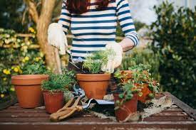 8 Online Gardening Classes And Workshops That Ll Give You The Greenest Thumb Green Thumb Grow Your Own Food Greenest