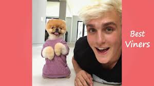Jake Paul Vine compilation