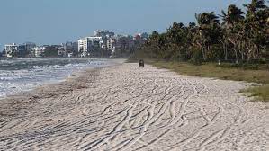 We did not find results for: Thanksgiving In Southwest Florida Expecting A Fewer Tourists Amid Covid 19