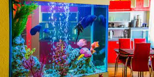 Teknik potong kaca cara potong kaca yang benar, dalam pembuatan aquarium, merupakan sesuatu yg sangat penting. 7 Cara Membuat Akuarium Untuk Pemula Merdeka Com