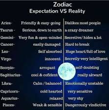 We Re Sneaky Zodiac Zodiac Signs Gemini Zodiac Star Signs