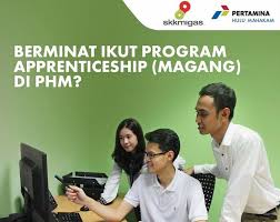 Rekrutmen bps pertamina 2021 berbeda dari tahun sebelumnya, disesuaikan dengan kebutuhan sesuai struktur organisasi baru terkait holding & subholding. Penerimaan Program Magang Pertamina Hulu Mahakam Balikpapan Pusat Info Lowongan Kerja 2021